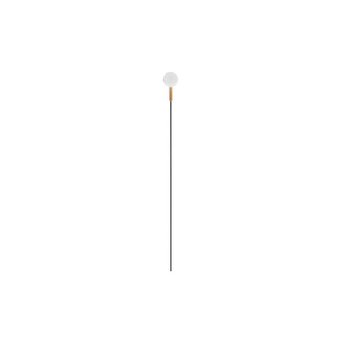 Syphasfera