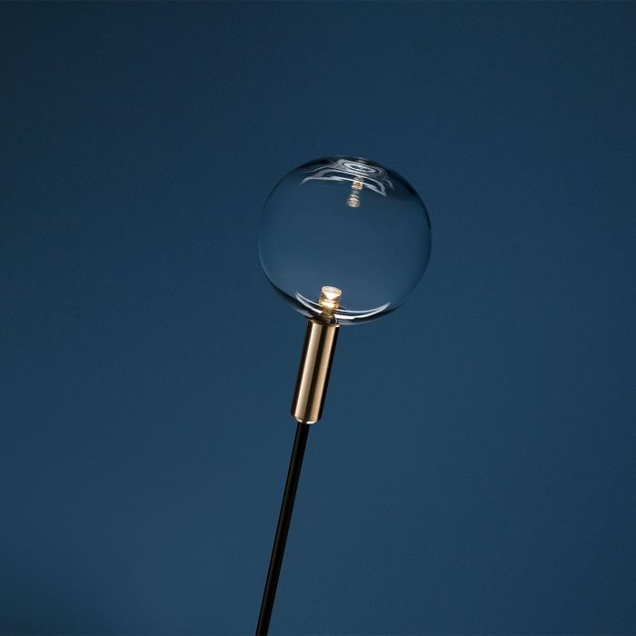 Syphasfera