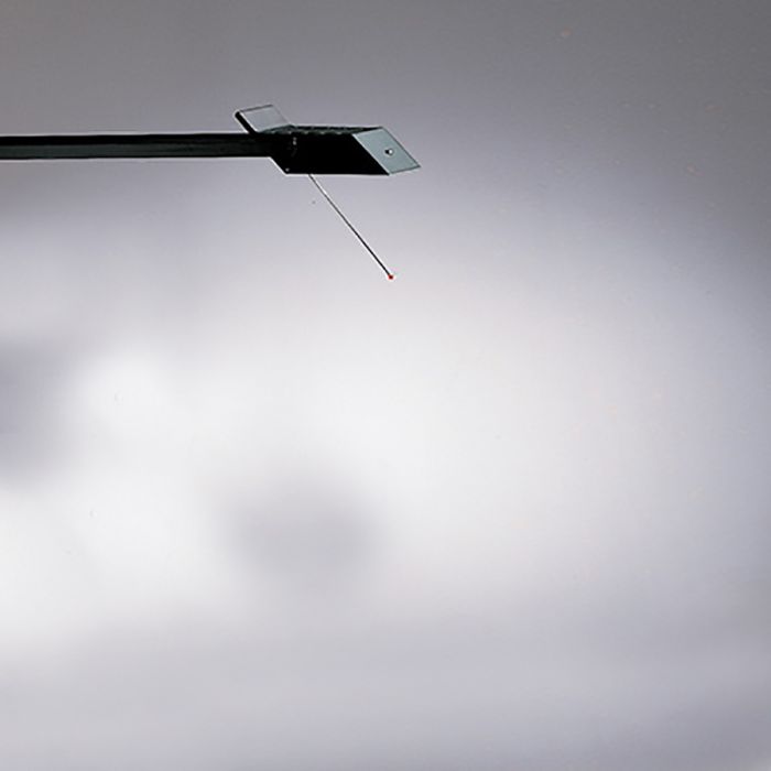 Tête pour lampe Tizio 50