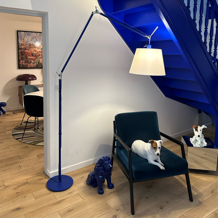 Tolomeo mega bleu - édition Voltex