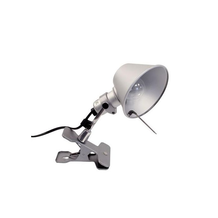 Tolomeo Pinza