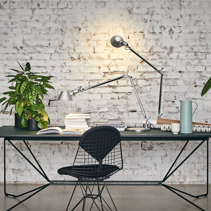 Tolomeo