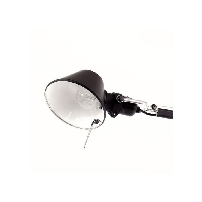 Tolomeo Lettura