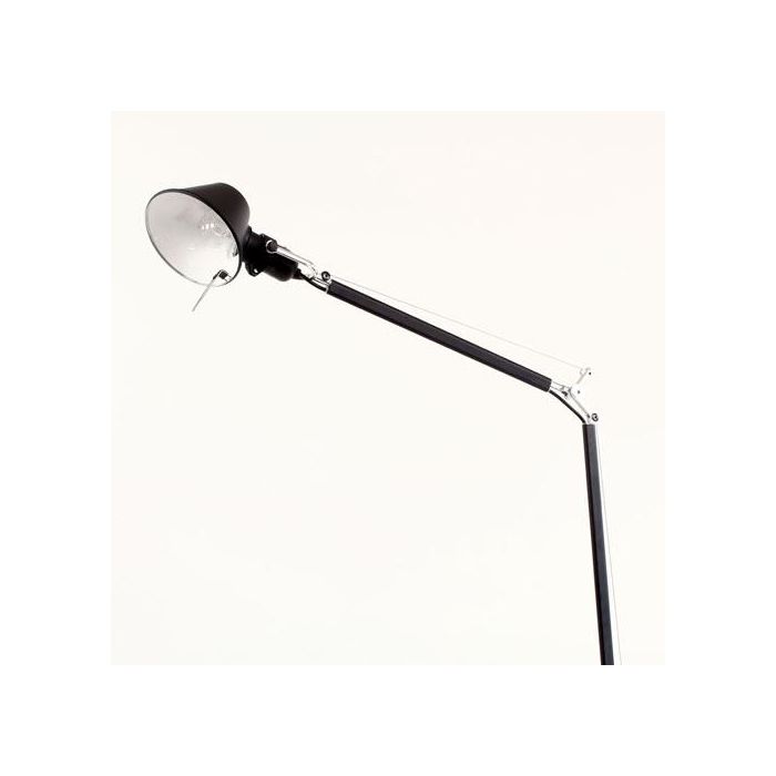 Tolomeo Lettura