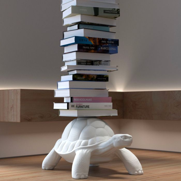 Turtle Carry Bookcase