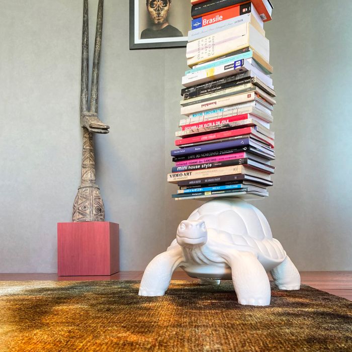 Turtle Carry Bookcase