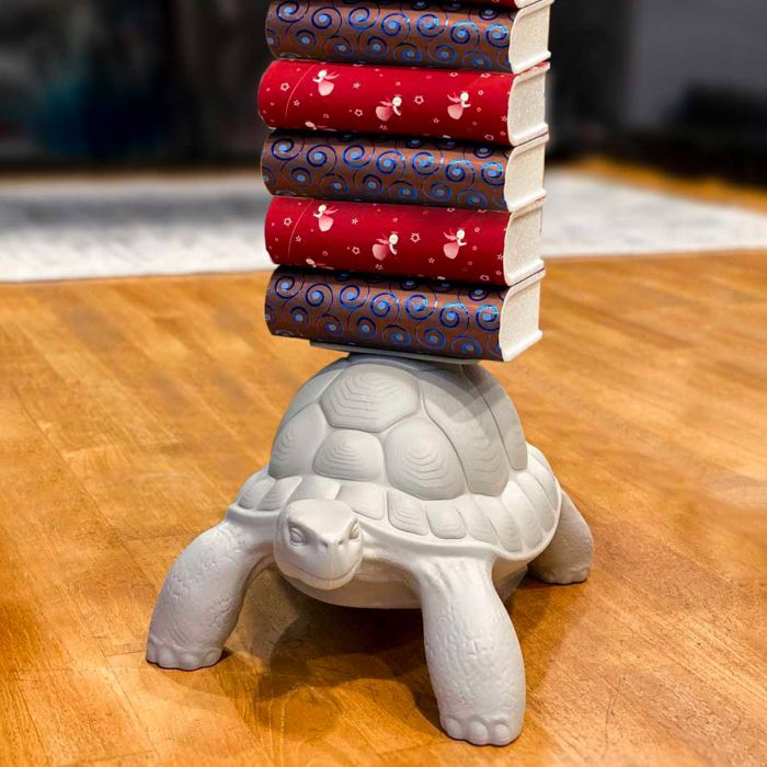 Turtle Carry Bookcase