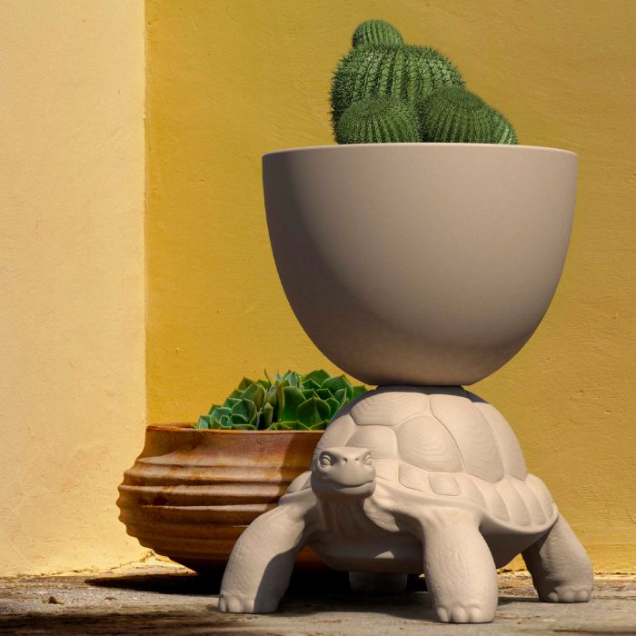 Turtle Carry Planter and Champagne Cooler