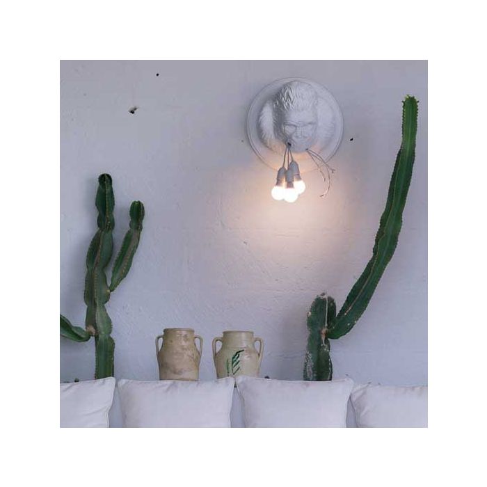 Applique Ugo Rilla