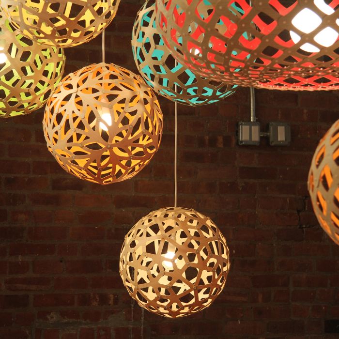 Coral Suspension