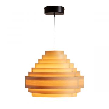 Suspension 1001 Hans 38