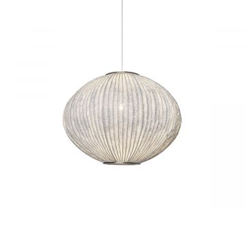 Suspension Coral Seaurchin