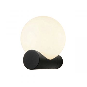 Applique Antares