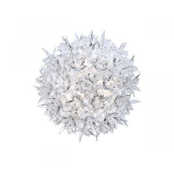 Applique Bloom