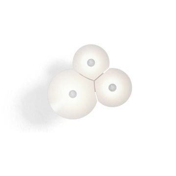 Applique Bulbullia