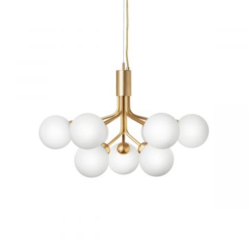Suspension Apiales 9