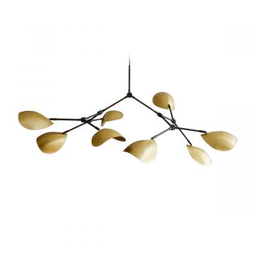Chandelier Stingray
