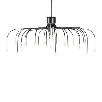 Suspension Starfall