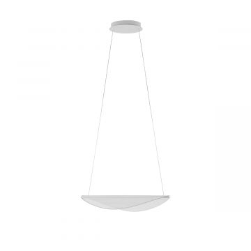 Diphy Suspension