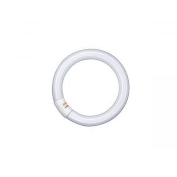 Lumilux T9 Circline 32W