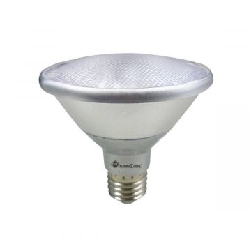 Ampoule LED Retrofit Stylos Lampe 227 PAR38 Non Dimmable