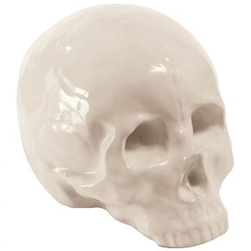 Memorabilia Crâne My skull