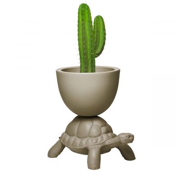 Turtle Carry Planter and Champagne Cooler