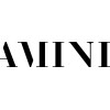 Amini
